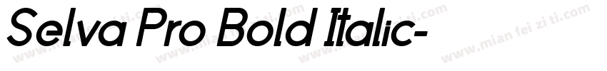Selva Pro Bold Italic字体转换